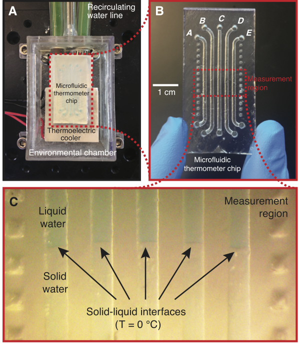 microfluidic-thermometer